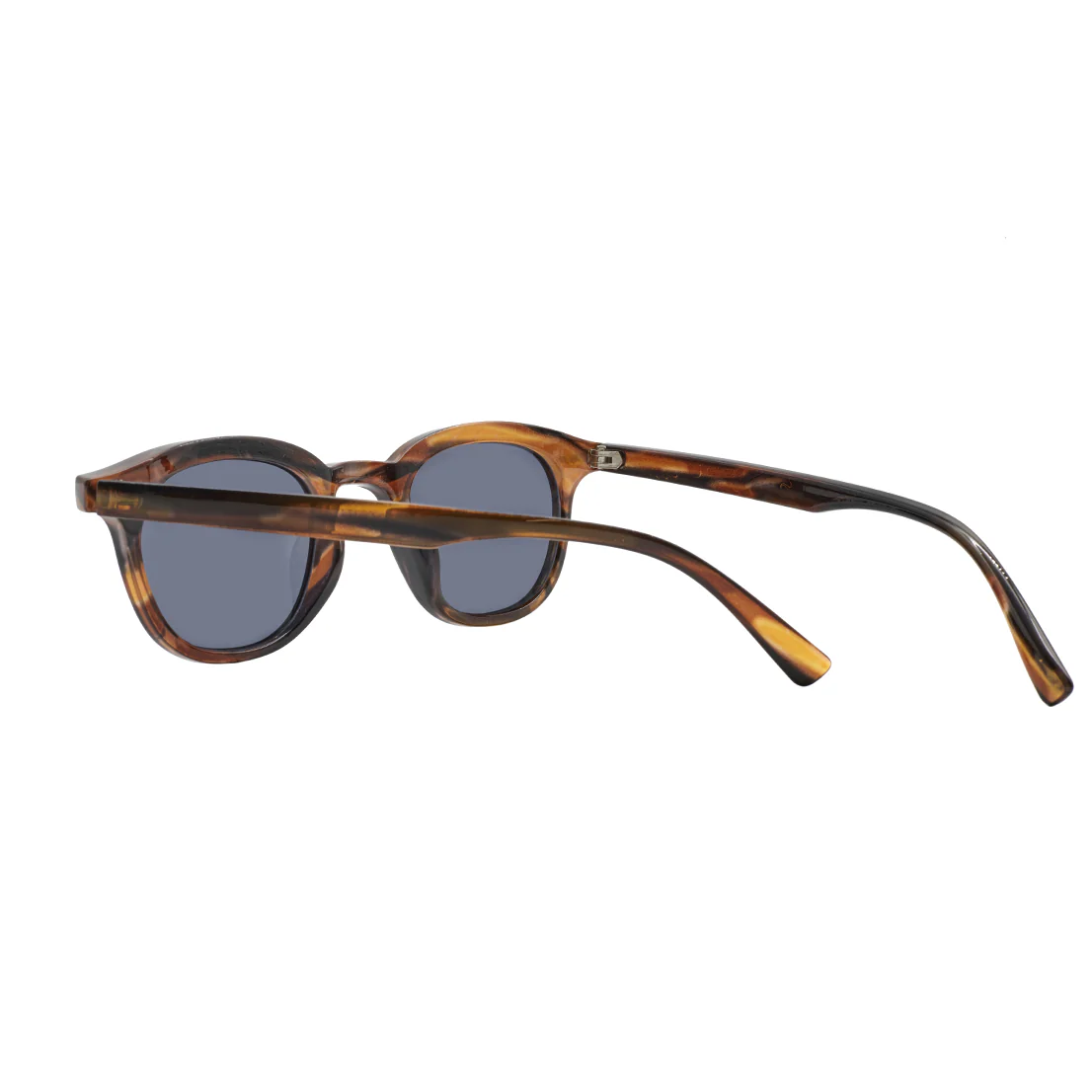 Classic Tortoiseshell Frame Glasses