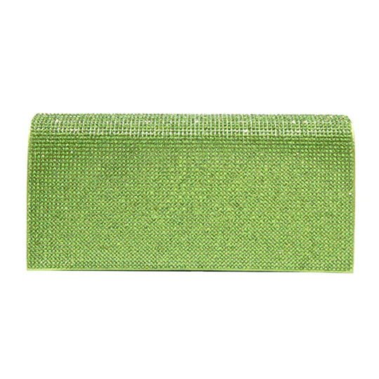 Elegant Evening Clutch